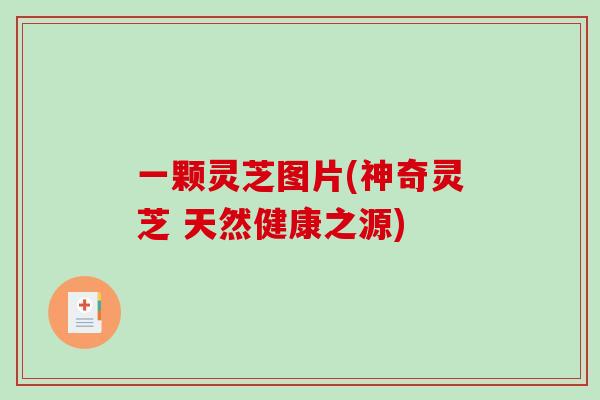 一颗灵芝图片(神奇灵芝 天然健康之源)