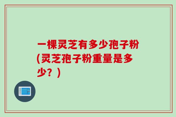 一棵灵芝有多少孢子粉(灵芝孢子粉重量是多少？)