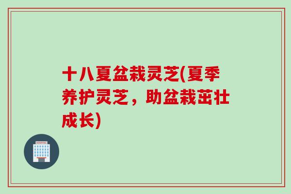 十八夏盆栽灵芝(夏季养护灵芝，助盆栽茁壮成长)