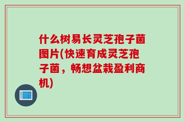 什么树易长灵芝孢子菌图片(快速育成灵芝孢子菌，畅想盆栽盈利商机)