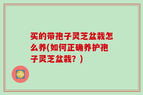 买的带孢子灵芝盆栽怎么养(如何正确养护孢子灵芝盆栽？)