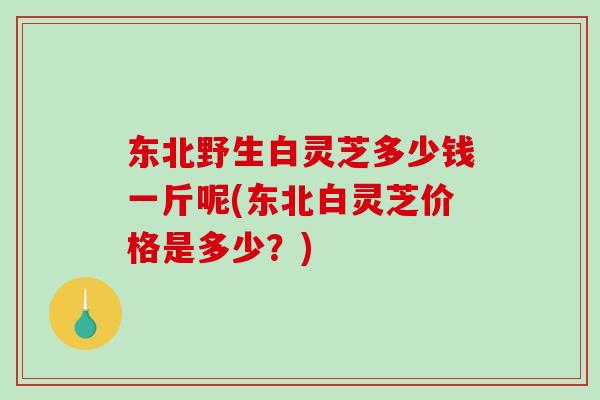 东北野生白灵芝多少钱一斤呢(东北白灵芝价格是多少？)