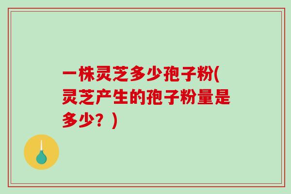 一株灵芝多少孢子粉(灵芝产生的孢子粉量是多少？)