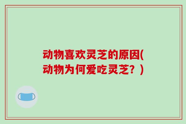 动物喜欢灵芝的原因(动物为何爱吃灵芝?) 动物喜欢灵芝的原因(动物为何爱吃灵芝?)