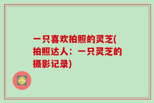 一只喜欢拍照的灵芝(拍照达人：一只灵芝的摄影记录)