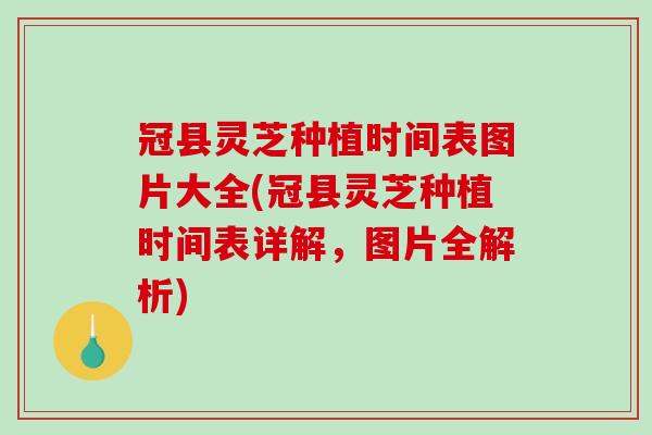 冠县灵芝种植时间表图片大全(冠县灵芝种植时间表详解，图片全解析)
