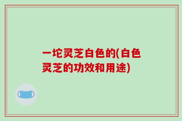 一坨灵芝白色的(白色灵芝的功效和用途)