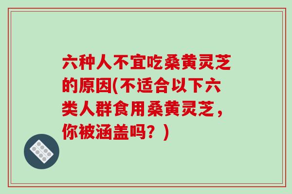 六种人不宜吃桑黄灵芝的原因(不适合以下六类人群食用桑黄灵芝，你被涵盖吗？)