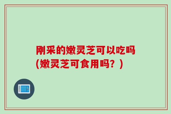 刚采的嫩灵芝可以吃吗(嫩灵芝可食用吗？)