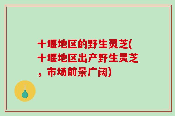 十堰地区的野生灵芝(十堰地区出产野生灵芝，市场前景广阔)