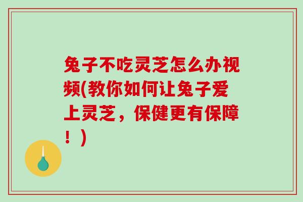 兔子不吃灵芝怎么办视频(教你如何让兔子爱上灵芝，保健更有保障！)
