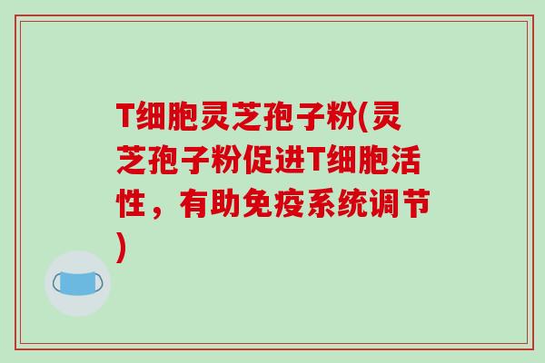 T细胞灵芝孢子粉(灵芝孢子粉促进T细胞活性，有助免疫系统调节)