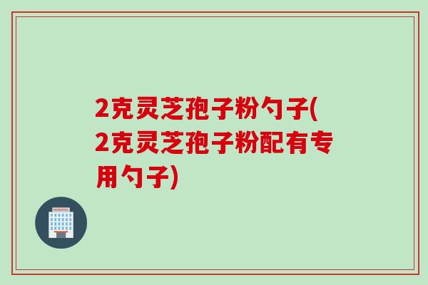 2克灵芝孢子粉勺子(2克灵芝孢子粉配有专用勺子)