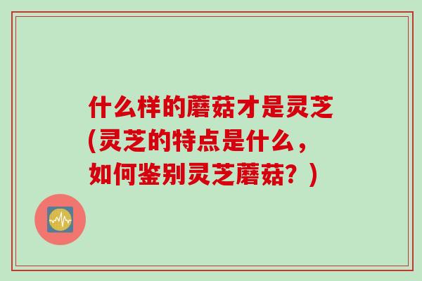 什么样的蘑菇才是灵芝(灵芝的特点是什么，如何鉴别灵芝蘑菇？)