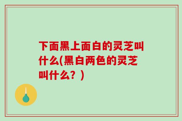 下面黑上面白的灵芝叫什么(黑白两色的灵芝叫什么？)