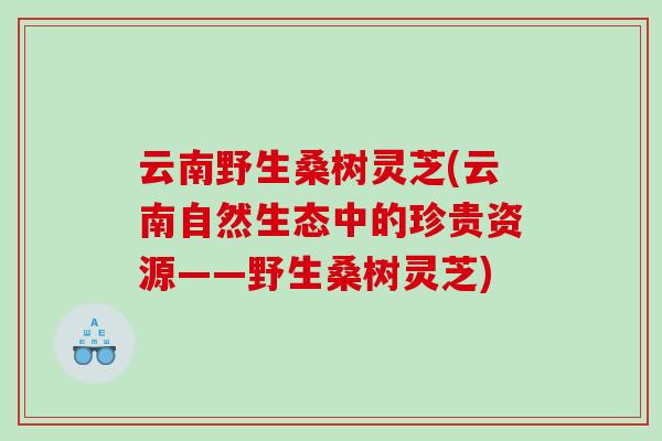 云南野生桑树灵芝(云南自然生态中的珍贵资源——野生桑树灵芝)
