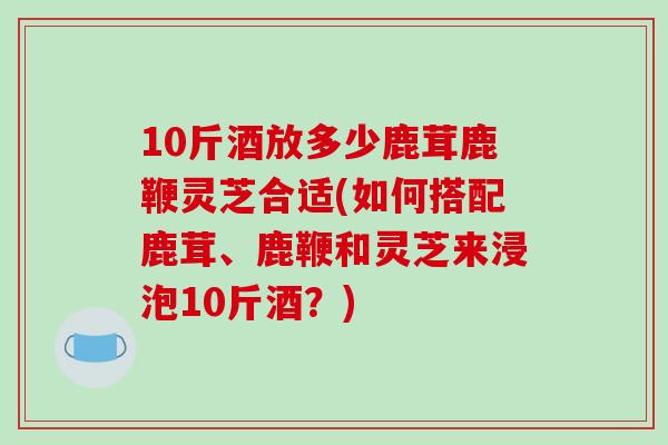 10斤酒放多少鹿茸鹿鞭灵芝合适(如何搭配鹿茸、鹿鞭和灵芝来浸泡10斤酒？)
