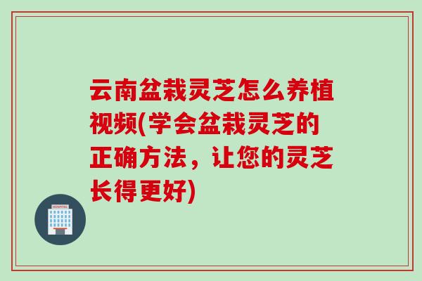 云南盆栽灵芝怎么养植视频(学会盆栽灵芝的正确方法，让您的灵芝长得更好)