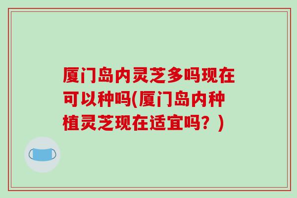厦门岛内灵芝多吗现在可以种吗(厦门岛内种植灵芝现在适宜吗？)