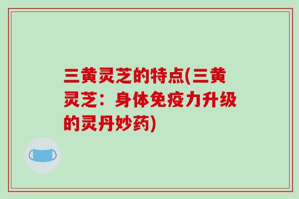 三黄灵芝的特点(三黄灵芝：身体免疫力升级的灵丹妙药)