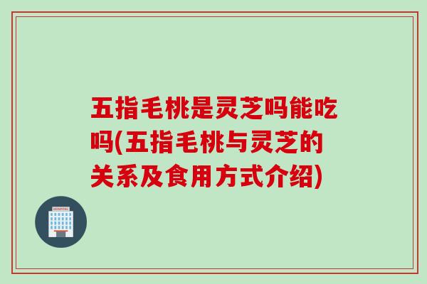 五指毛桃是灵芝吗能吃吗(五指毛桃与灵芝的关系及食用方式介绍)