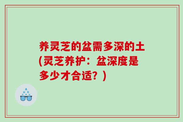 养灵芝的盆需多深的土(灵芝养护：盆深度是多少才合适？)