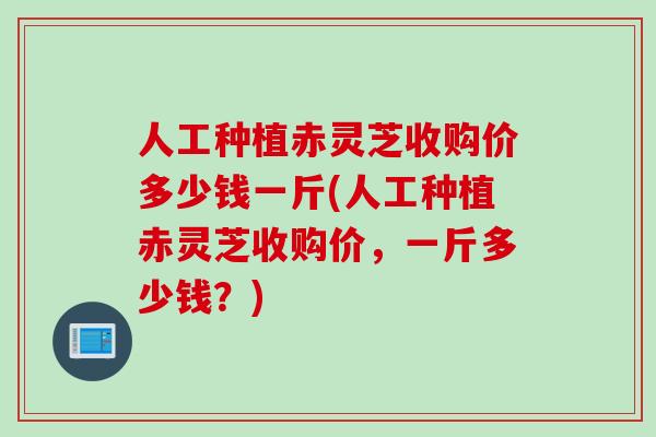 人工种植赤灵芝收购价多少钱一斤(人工种植赤灵芝收购价，一斤多少钱？)