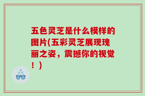 五色灵芝是什么模样的图片(五彩灵芝展现瑰丽之姿，震撼你的视觉！)