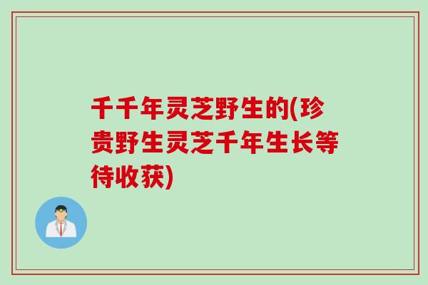 千千年灵芝野生的(珍贵野生灵芝千年生长等待收获)