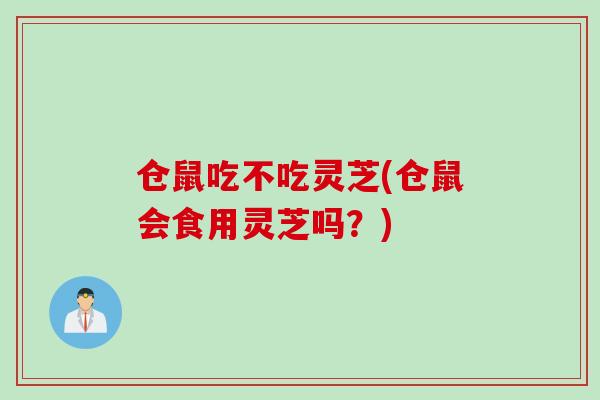 仓鼠吃不吃灵芝(仓鼠会食用灵芝吗？)