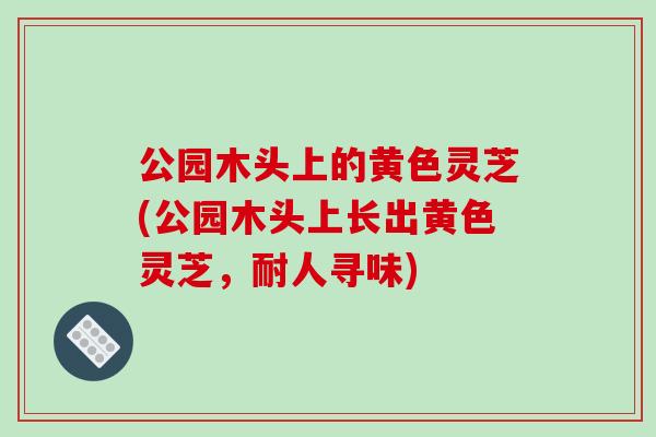 公园木头上的黄色灵芝(公园木头上长出黄色灵芝，耐人寻味)