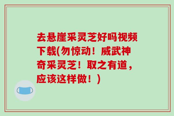 去悬崖采灵芝好吗视频下载(勿惊动！威武神奇采灵芝！取之有道，应该这样做！)