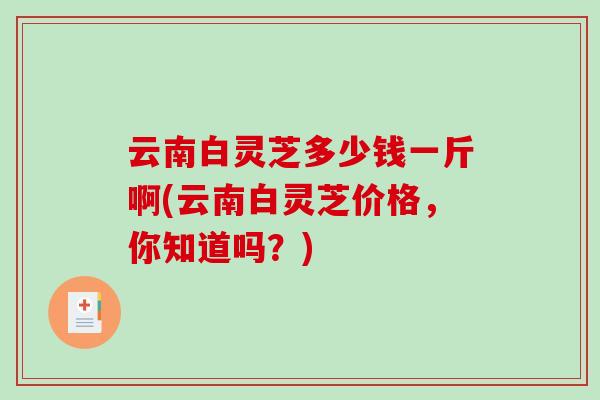 云南白灵芝多少钱一斤啊(云南白灵芝价格，你知道吗？)