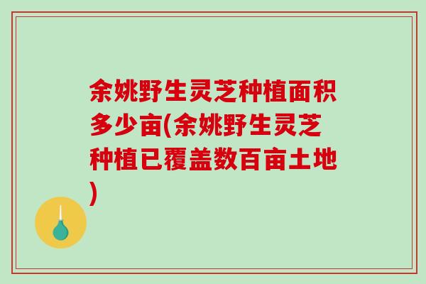 余姚野生灵芝种植面积多少亩(余姚野生灵芝种植已覆盖数百亩土地)