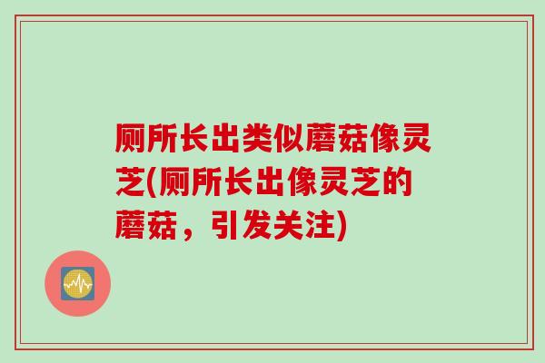厕所长出类似蘑菇像灵芝(厕所长出像灵芝的蘑菇，引发关注)