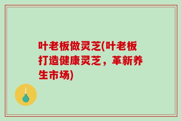 叶老板做灵芝(叶老板打造健康灵芝，革新养生市场)
