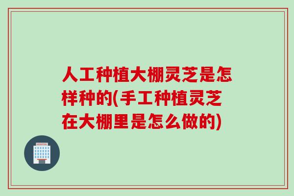 人工种植大棚灵芝是怎样种的(手工种植灵芝在大棚里是怎么做的)