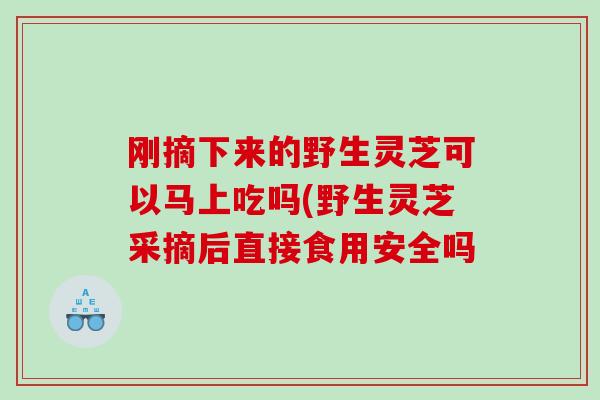 刚摘下来的野生灵芝可以马上吃吗(野生灵芝采摘后直接食用安全吗
