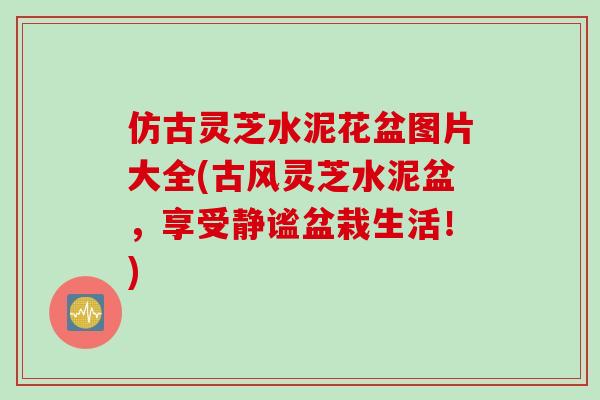 仿古灵芝水泥花盆图片大全(古风灵芝水泥盆，享受静谧盆栽生活！)