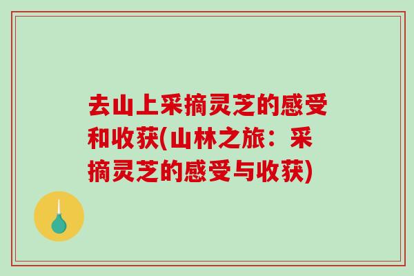 去山上采摘灵芝的感受和收获(山林之旅：采摘灵芝的感受与收获)