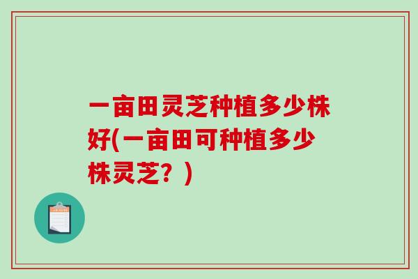 一亩田灵芝种植多少株好(一亩田可种植多少株灵芝？)