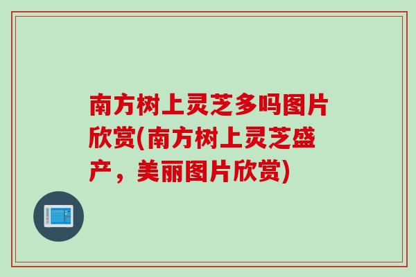 南方树上灵芝多吗图片欣赏(南方树上灵芝盛产，美丽图片欣赏)