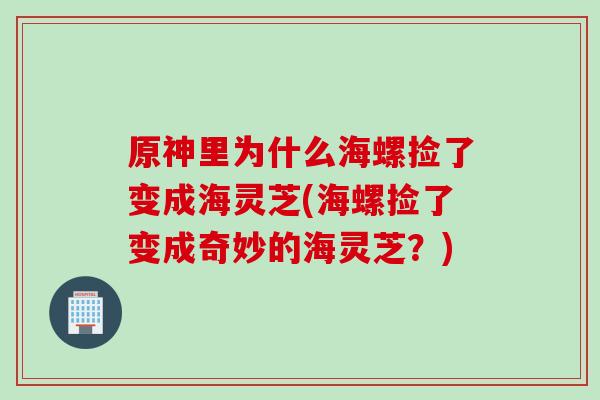 原神里为什么海螺捡了变成海灵芝(海螺捡了变成奇妙的海灵芝？)