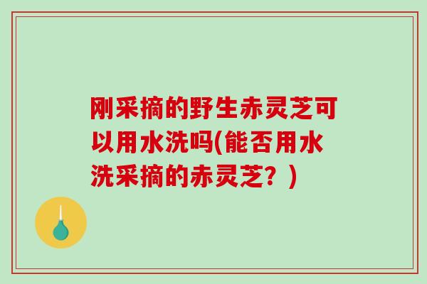 刚采摘的野生赤灵芝可以用水洗吗(能否用水洗采摘的赤灵芝？)