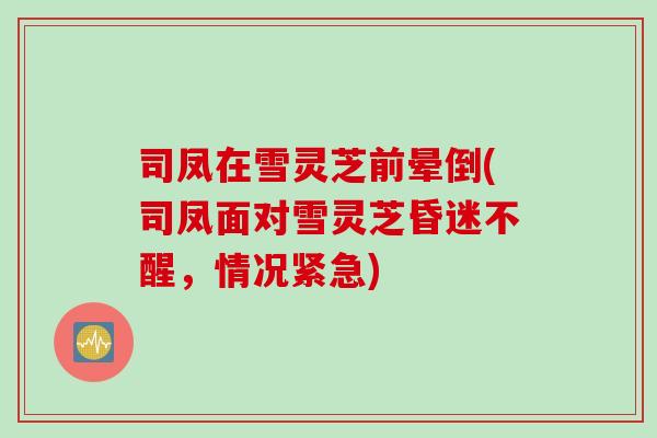 司凤在雪灵芝前晕倒(司凤面对雪灵芝昏迷不醒，情况紧急)