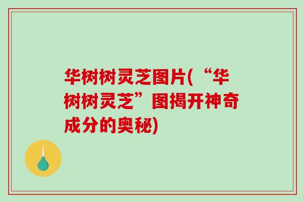 华树树灵芝图片(“华树树灵芝”图揭开神奇成分的奥秘)