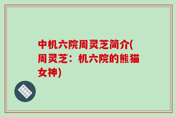 中机六院周灵芝简介(周灵芝：机六院的熊猫女神)