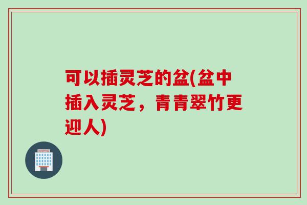 可以插灵芝的盆(盆中插入灵芝,青青翠竹更迎人) 可以插灵芝的盆(盆中插入灵芝,青青翠竹更迎人)