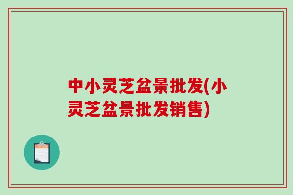 中小灵芝盆景批发(小灵芝盆景批发销售)