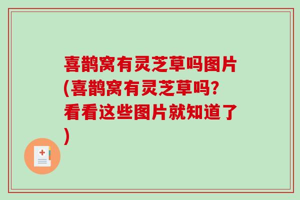 喜鹊窝有灵芝草吗图片(喜鹊窝有灵芝草吗？看看这些图片就知道了)